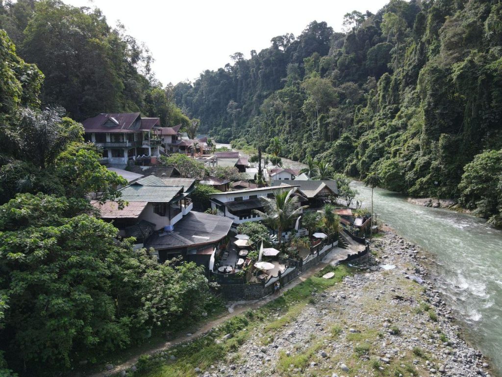 Wisata Bukit Lawang