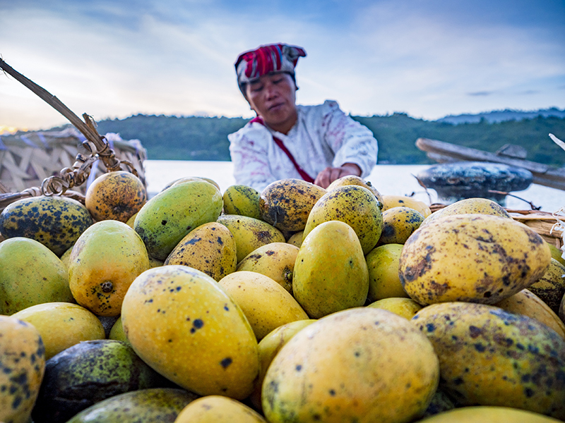 Mangga Sibandang