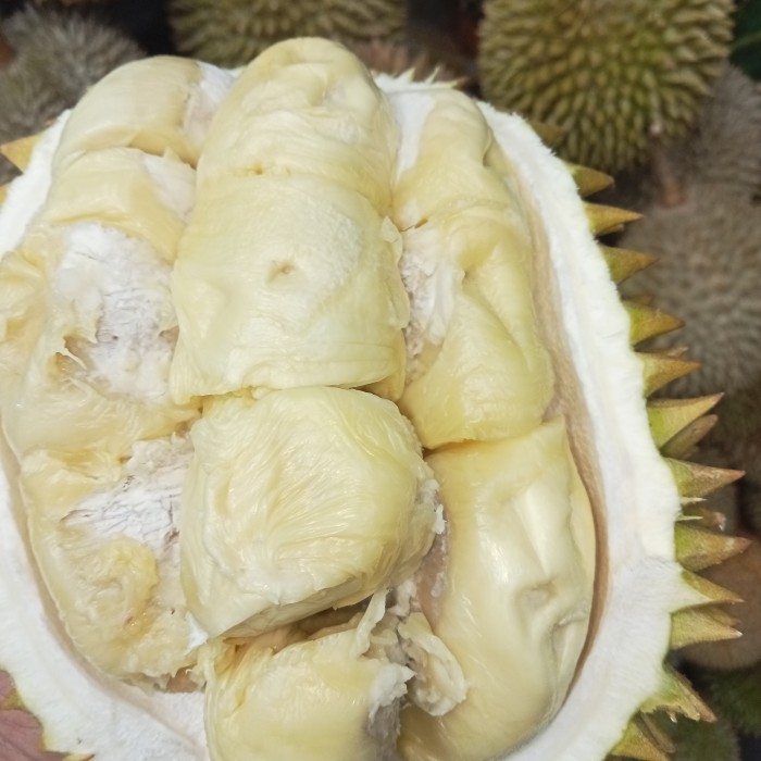 Durian Sidikalang