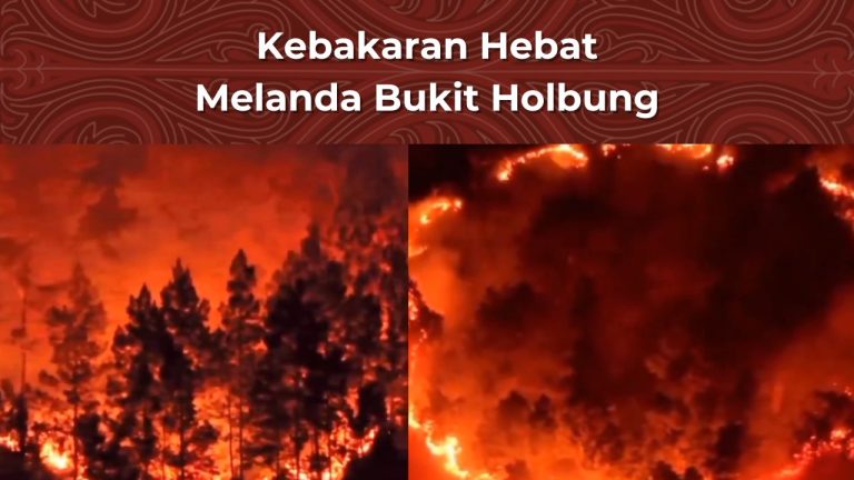 Kebakaran di Bukit Holbung