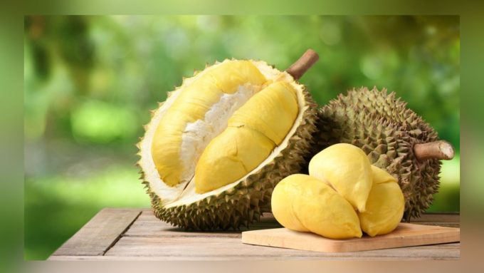 Ilustrasi buah durian.