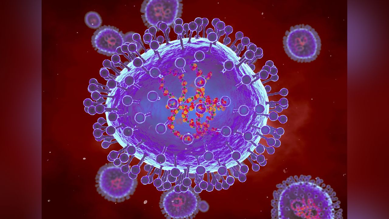 Virus Human Metapneumovirus (HMPV) kini telah terdeteksi di Indonesia.