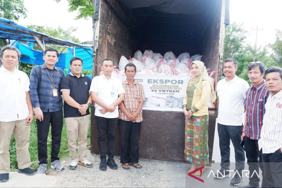Kolang-Kaling Tapsel Tembus Ekspor Asia, Vietnam Jadi Pelanggan Utama.