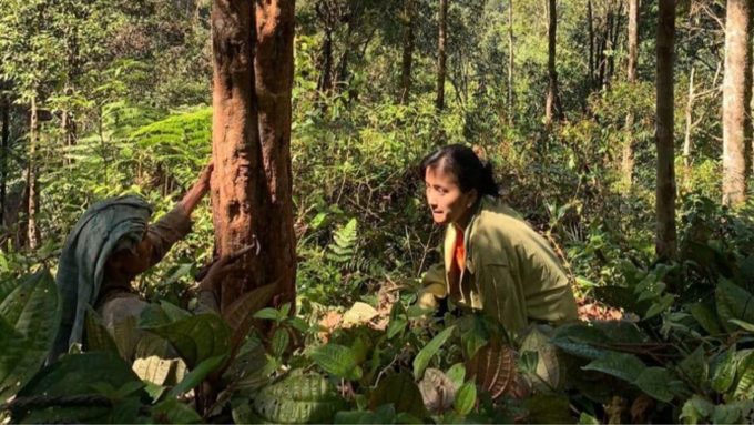 Potret kehidupan seorang penyadap getah kemenyan (Dok. Pribad Devi Vebryanti Simanungkalit via detikcom).