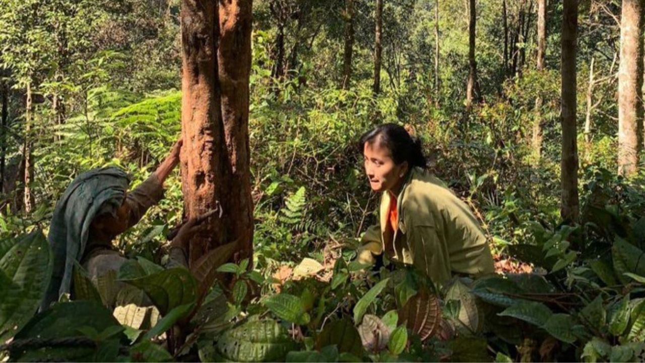 Potret kehidupan seorang penyadap getah kemenyan (Dok. Pribad Devi Vebryanti Simanungkalit via detikcom).
